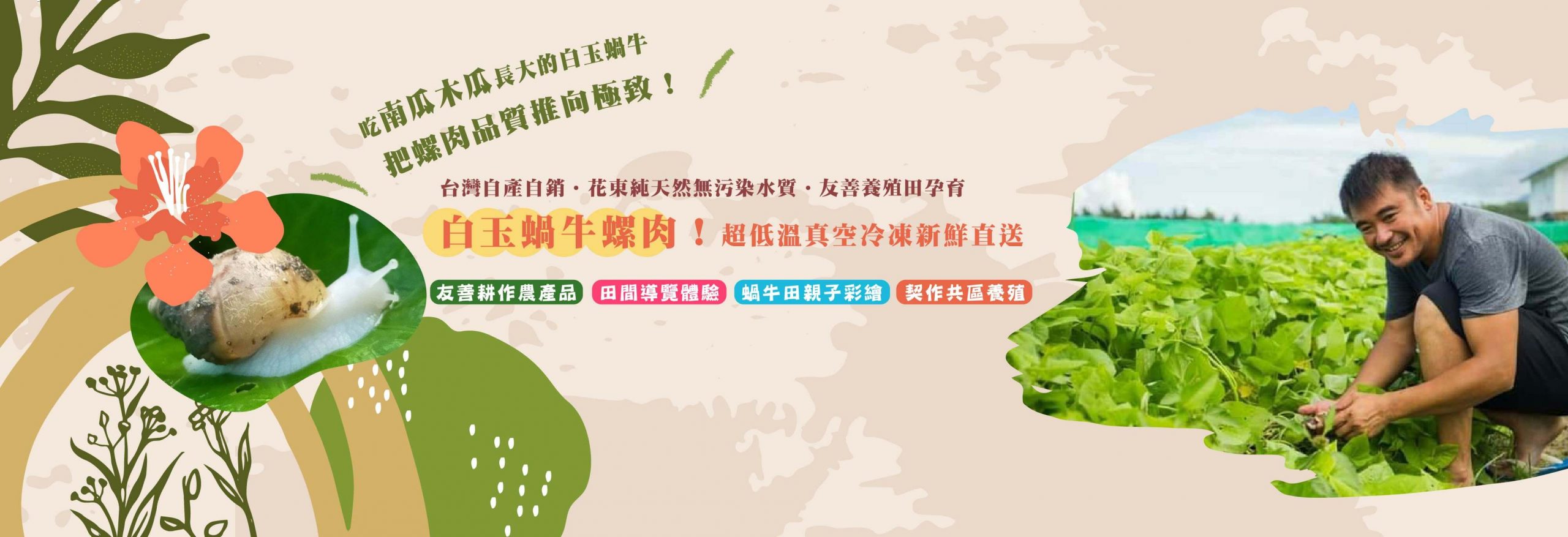 snail-banner-26-26(t)